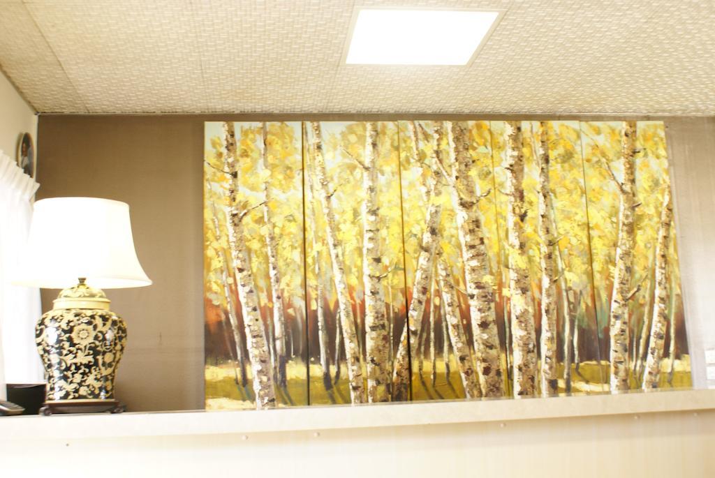 Country Lodge Motor Inn Bathurst Buitenkant foto